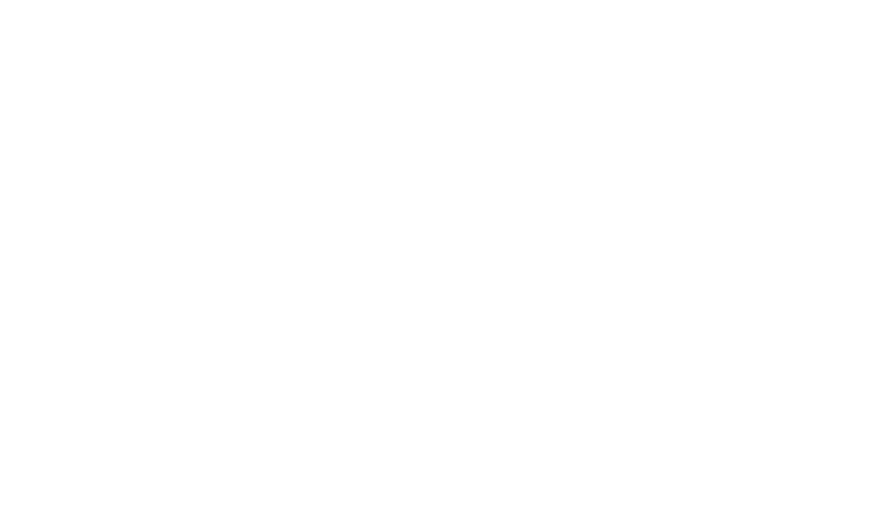 vision-logo-weiss